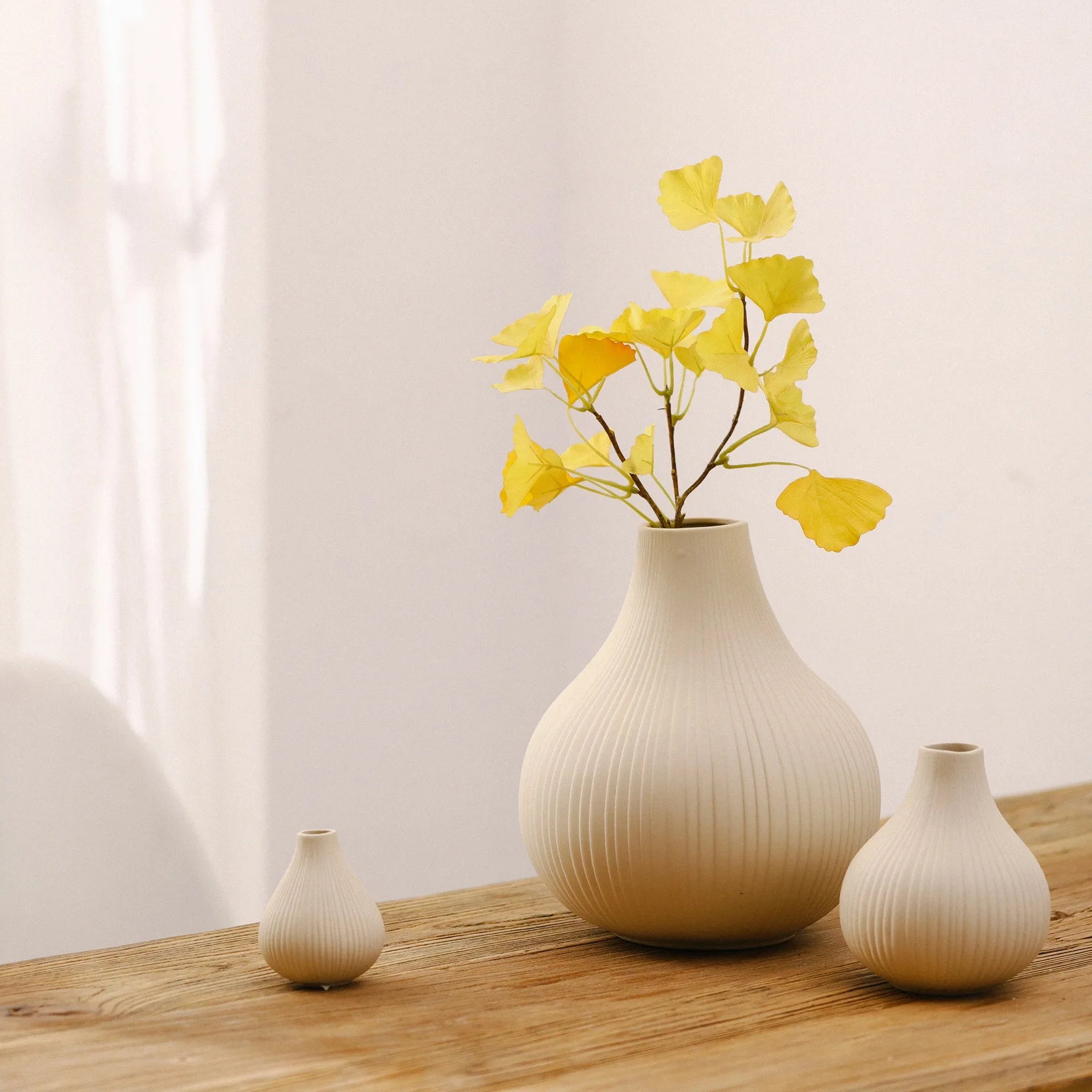 Nordic Modern Matte Ceramic Vase | Minimalist Tabletop Flower Decor